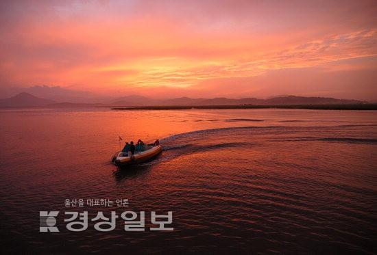 [제17회 순천만 갈대축제]갈대와 음악, 건강한 먹거리가 있는 생명의 땅으로 초대