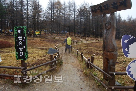 [백두에서 한라까지]하늘 다음 도시 태백 산속에서 느끼는 자연의 아름다움