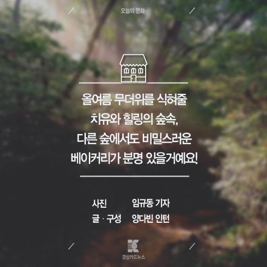 [경상카드뉴스]어느 숲속의 비밀스러운 베이커리?-남산 은월봉의 아름다운 버섯들