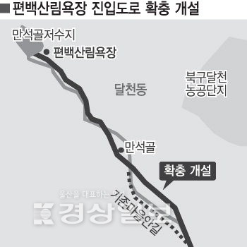천마산 편백산림욕장 진입로 확 넓힌다