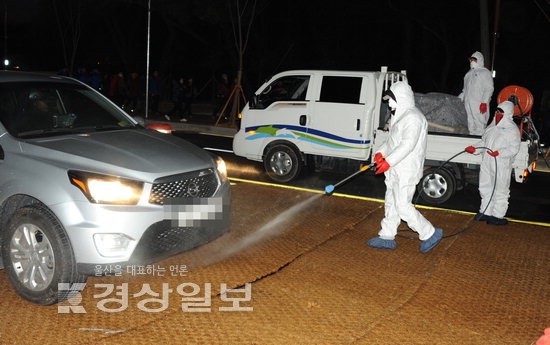 전국서 해맞이 인파 몰리며 AI 차단 방역활동도 강화