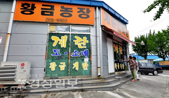 살충제 검출 경주 황금계란 울산에 대량 유통