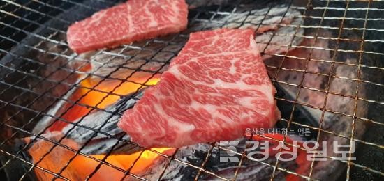 영월 가볼만한곳 다하누한우프라자, 방문 감사 이벤트 실시 다양한 증정 혜택 제공