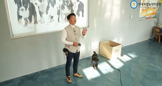 반려동물관리사 등 미래유망자격증, 한국직업능력진흥원 비대면 무료인강 제공