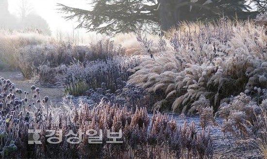태화강변에 한번 심어 5계절 즐기는 정원 만든다