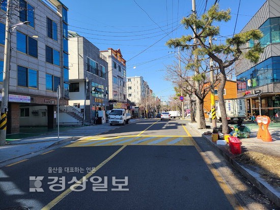 원룸·상가 밀집지역에 양방향 주정차 금지는 가혹