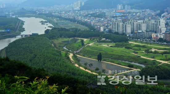 울산 중구, 태화강국가정원 체류형관광 위해 총력전