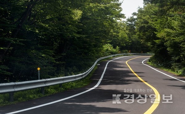 옥동→남산로, 직통 문수로 우회道 확정