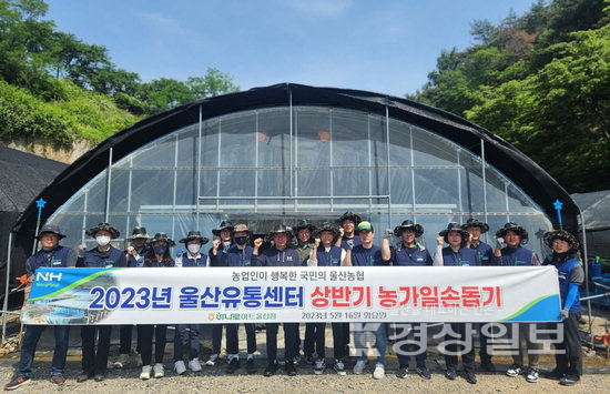농협울산유통센터, 일손돕기 봉사활동 펼쳐