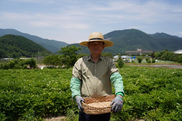 아리랑식품, 동네한바퀴 정선편으로 바디나물 선봬