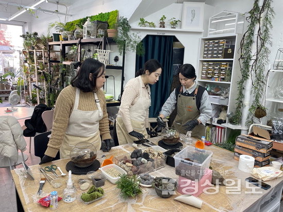 [차이나는 울산공방 클래스](22) 이끼핀나무(테라리움), 아기자기한 나만의 식물세계