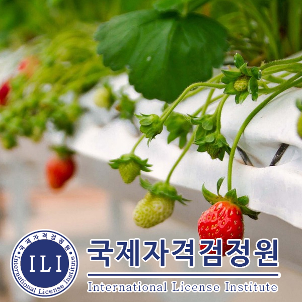 스마트 농업, 창업 관심자를 위한 스마트팜관리사 자격증 무료교육