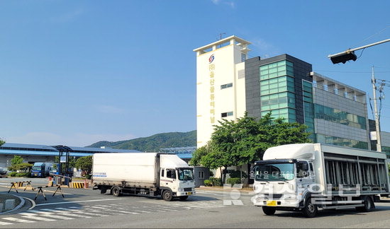 산업수도 울산, 사통팔달 물류도시로 도약하자, 터미널 과부하나비효과…물류 지연에 도심 주차난까지