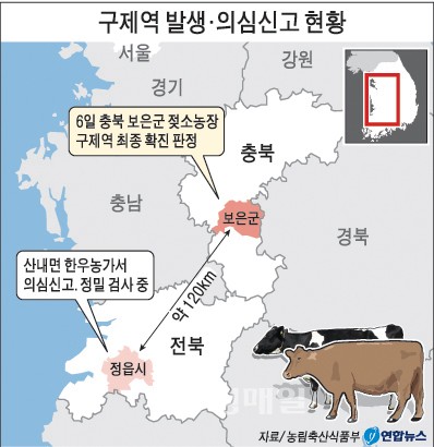 보은 구제역 확진…충북도 초비상