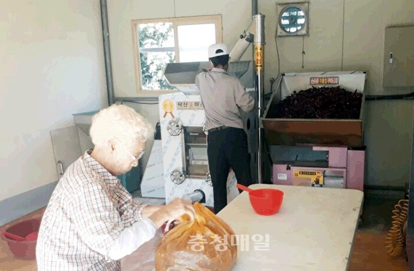 보은 장안면주민자치위, 무료 고추방앗간 운영