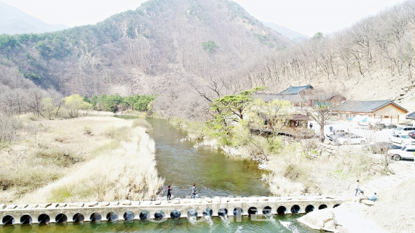 영동 반야사 둘레길에서 만나는 힐링과 여유