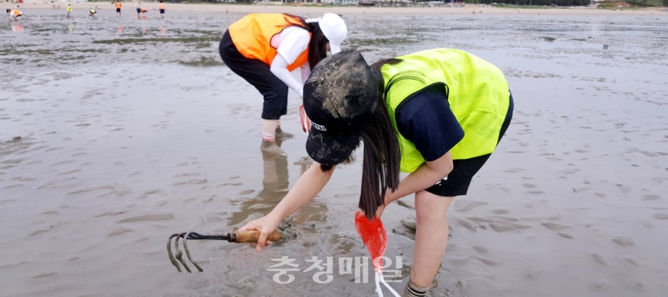 B.B.S 충주지회 결연청소년들, 영종도 갯벌서 문화체험