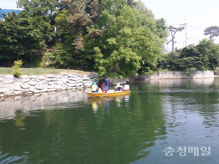 예당내수면 어업계, 예당호 출렁다리 주변 환경정화