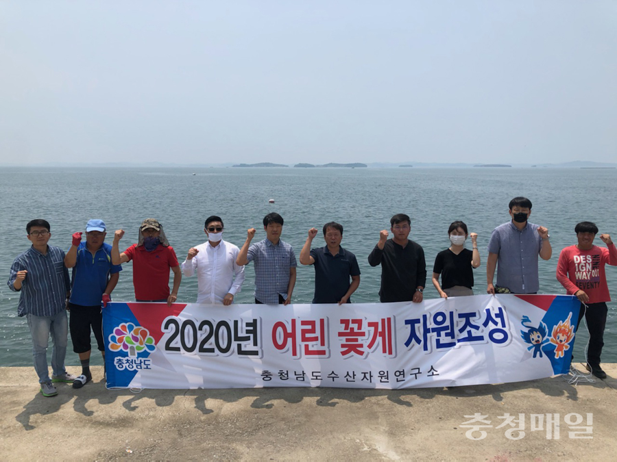 홍성군, 천수만 수산자원조성 위해 어린 꽃게 12만 마리 방류