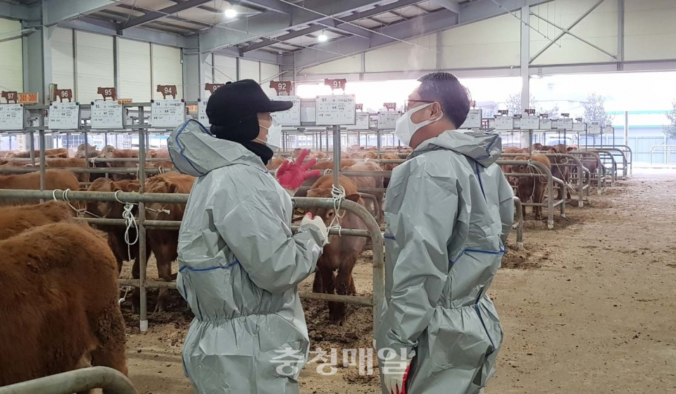 농협 염기동 충북본부장, 청주 가축시장 방역 점검