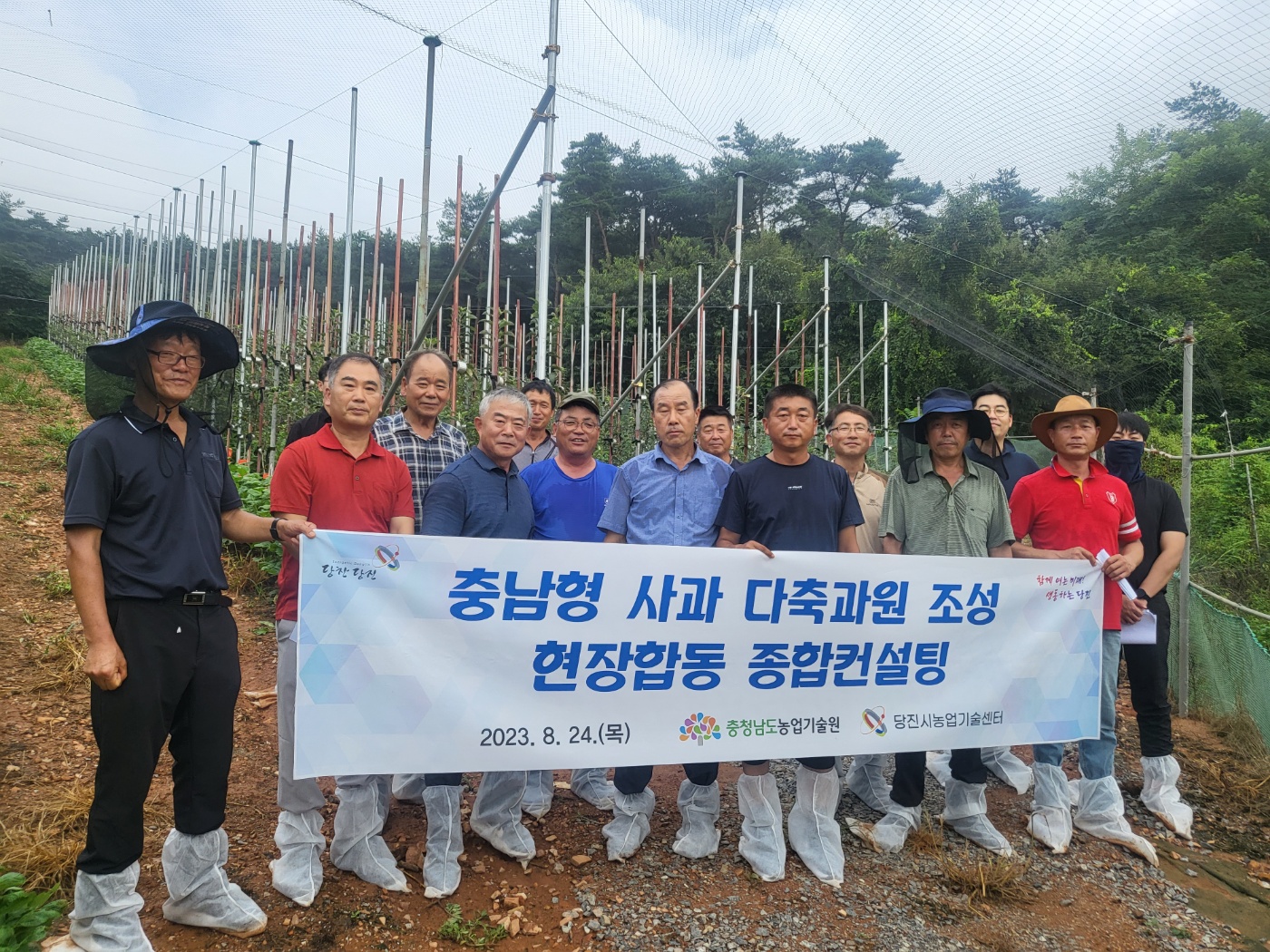 충남 당진시농업기술센터, 미래형 사과 다축과원 현장컨설팅 추진