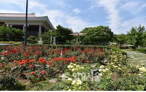 금강자연휴양림 숙박시설 미리보기 클릭