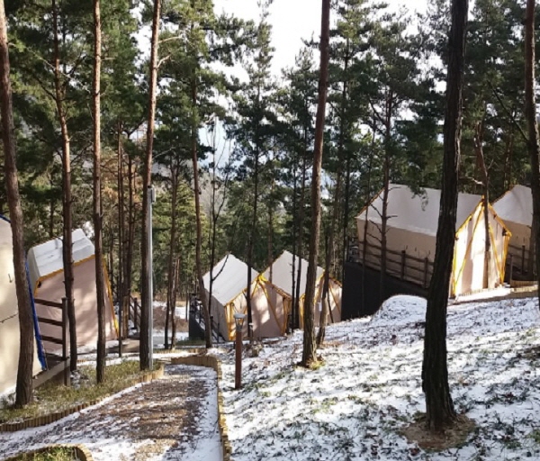 산청 동의보감촌 숲속야영장 8일 일부 개장