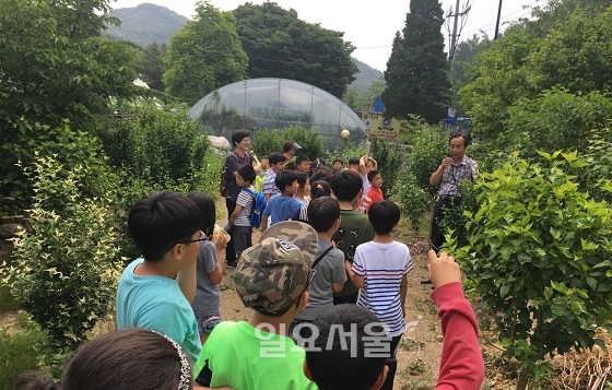 활기찬 새봄 농촌체험학습장으로 떠나요