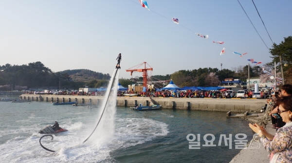 제10회 사천비토섬별주부전축제