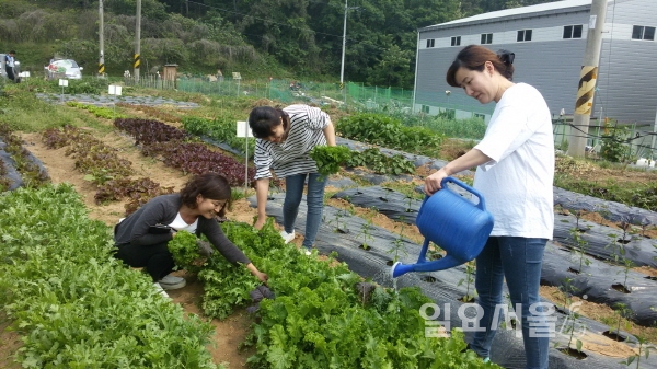 도심속 플랜토피아, 창원시주말체험농장운영
