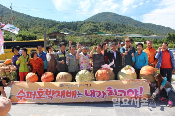 하동에서 경남슈퍼호박경진대회 열린다