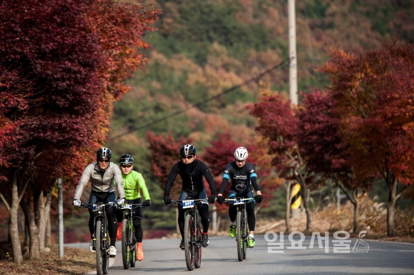 전국 산악 자전거 동호인, 보물섬 힐링로드 만끽