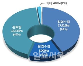 진주시, 2018년 숲가꾸기 사업 대대적 시행