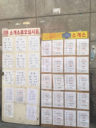 취업 난민? 난민 신청자 1만 명 시대 명암