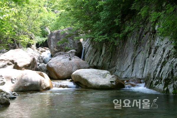 휴가철 피서 山·江·바다 다 있는 하동으로 떠나요