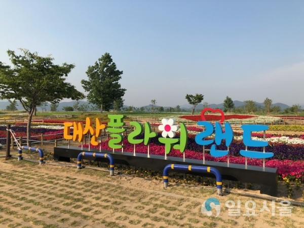 창원시 의창구 대산면, 대산 플라워 랜드 개장