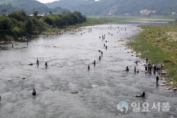 산청 경호강 물페스티벌로 무더위 날리러 오세요