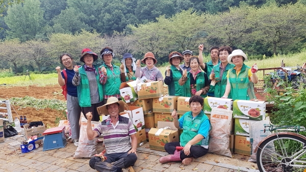 달성군 옥포읍 새마을협의회ㆍ부녀회, 고구마 수확 판매 수익금 복지기금 사용