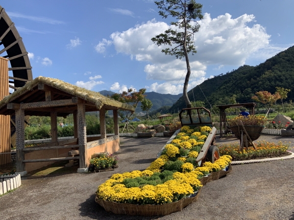 달성군, 주요 관광지에 국화전시