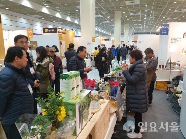 양주 오똑팜, 2019년 강소농대전, 경영개선 실천 우수강소농 경진대회최우수상 수상