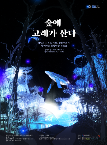 안양문화예술재단,  코로나19 고려한 다양한 문화예술 기획 프로그램 운영