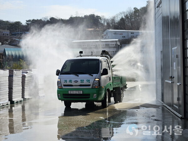 고양시, 가축전염병 특별방역대책 실시… AI·ASF 등 발생 차단