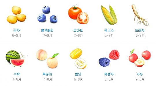 제철에 가장 맛이 좋은 제철 음식… 7월 제철 음식은?
