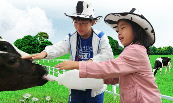 우유급식 최우수학교 양주초등학교 선정