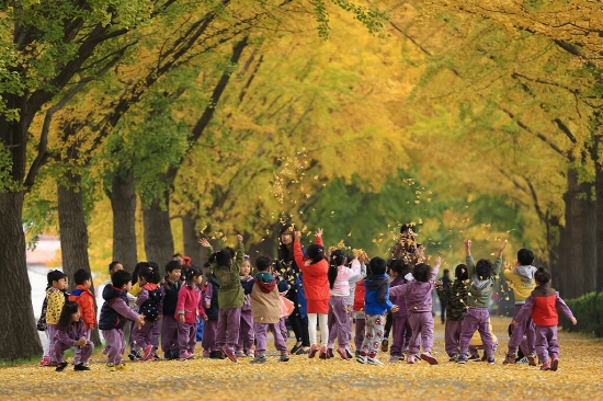 함께 누리는 산림문화, 함께 키우는 푸른 숲