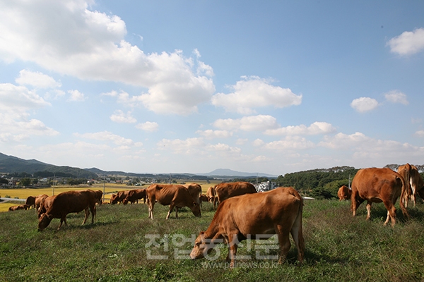 부자 농촌 경주! 친환경 축산업이 성장 이끈다