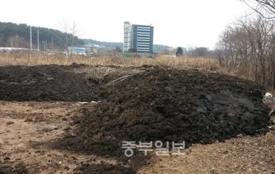 여주 양계농가, 계분 불법투기...상수원 오염·AI·구제역 경고등