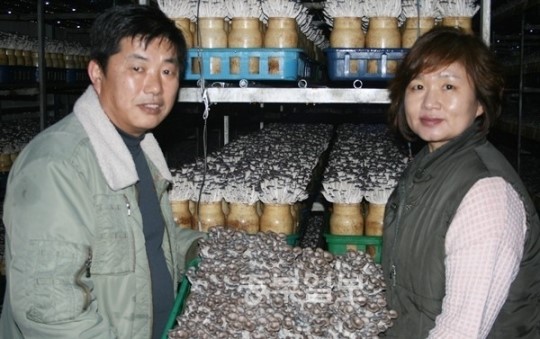 18억 대박친 귀농부부...여주 느타리버섯농장 동서농산 조수연·김영란 부부