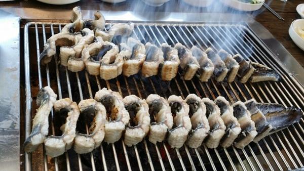 [이천 맛집] 저렴하게 즐기는 최고급 품질 장어...이천농원 장어직판장