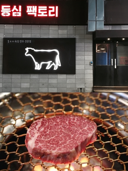 [서울 맛집] 다양한 회식장소가 모여있는 압구정 뒷골목으로 서울 맛집여행